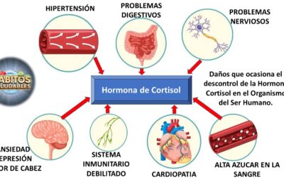 Equilibrio Hormonal: Estrategias para Controlar Cortisol y Mejorar tu Bienestar