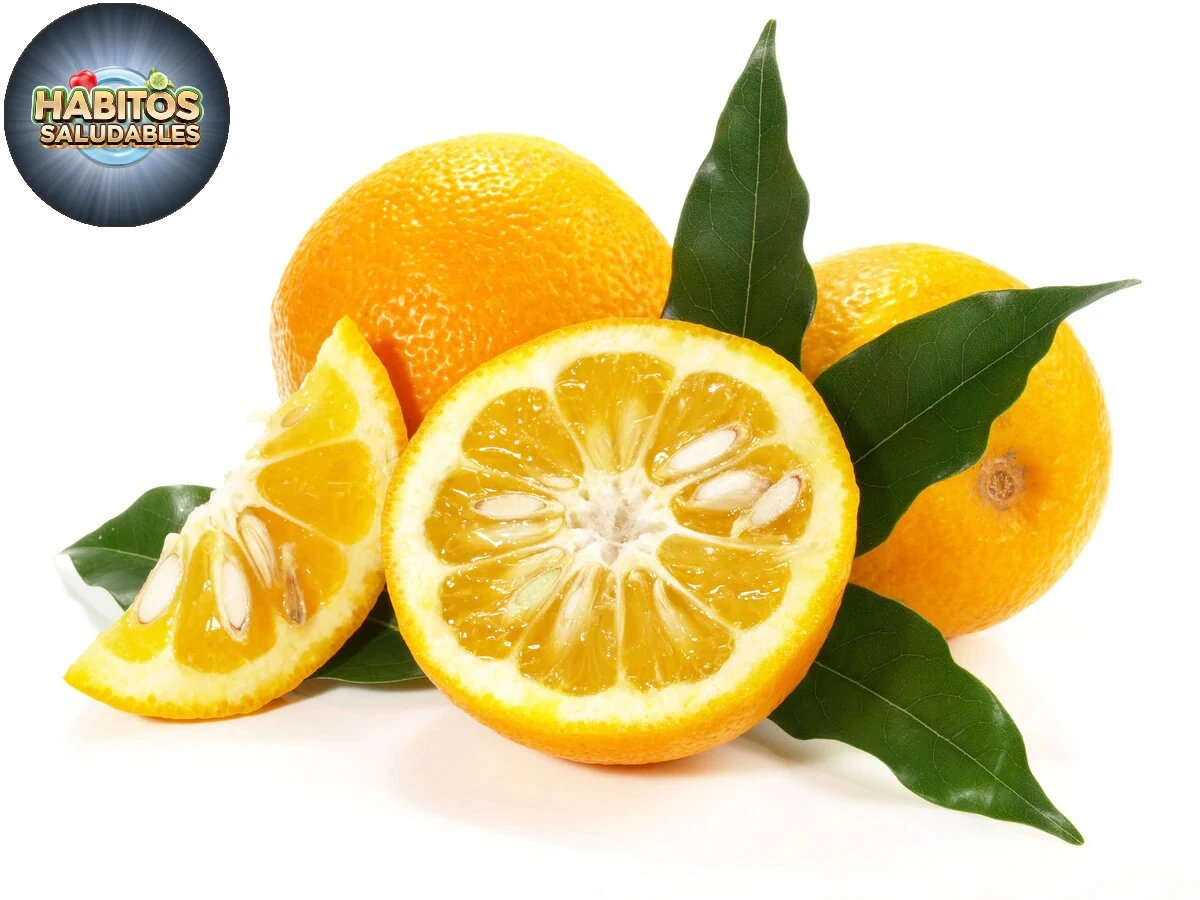 Naranja amarga: Estimulante natural del metabolismo