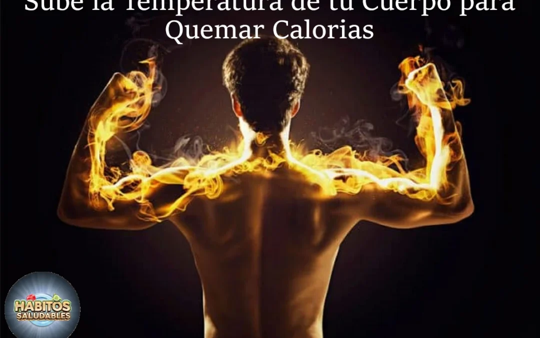 Termogénesis y Aceleración del Metabolismo: Ingredientes Naturales para Quemar Calorías