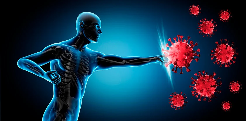 Sistema Inmunológico Hábitos Saludable La importancia del Sistema Inmunológico en la lucha contra el cáncer</p>
<p>El sistema inmunológico es la primera línea de defensa contra las células cancerosas. Sus funciones principales incluyen:</p>
<p>Identificar y destruir células anormales.</p>
<p>Regular la respuesta inflamatoria para evitar daños excesivos.</p>
<p>Producir células especializadas como linfocitos T y células asesinas naturales (NK) para atacar tumores.</p>
<p>Sin embargo, cuando el sistema inmunológico está debilitado, pierde eficiencia en la detección y eliminación de células cancerosas.