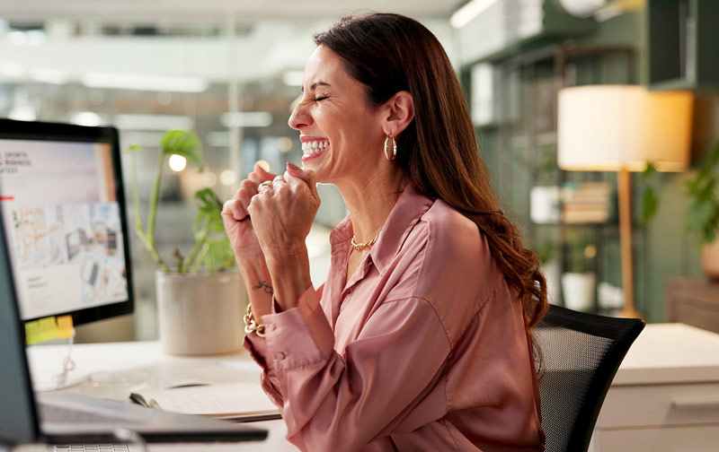 imgi_24_business_model_20250528201522 business_model_