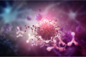 4Lifeblog-transferfactorpart2