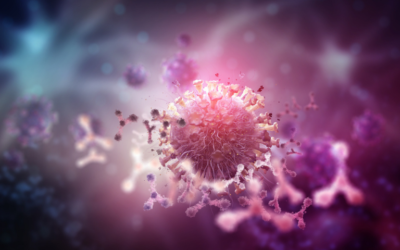 ¿Qué son los factores de transferencia – Segunda parte