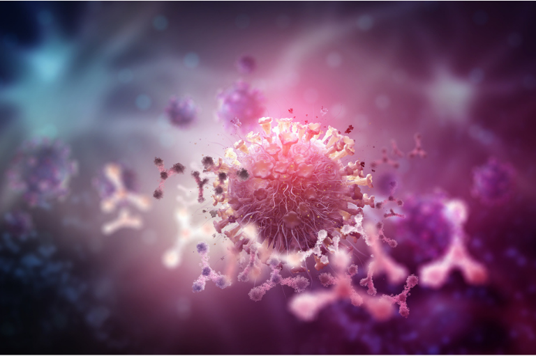 ¿Qué son los factores de transferencia – Segunda parte