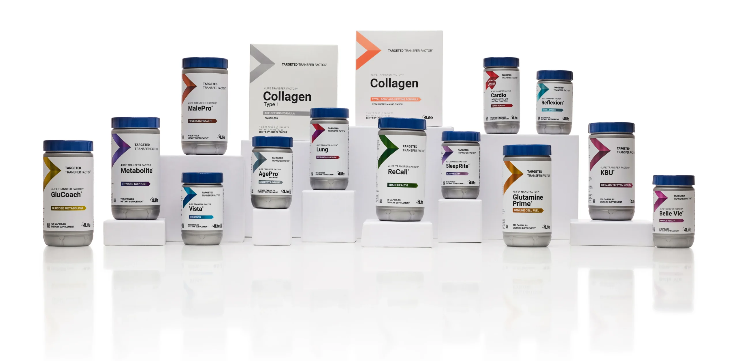 Probablemente hayas visto la palabra péptidos en titulares sobre la salud, anuncios acerca del cuidado de la piel o incluso en foros de acondicionamiento físico. Pero, ¿qué son los péptidos? ¿Y por qué el mundo del bienestar está tan obsesionado con ellos? Analicémoslo al estilo 4Life.</p>
<p>Los péptidos son cadenas cortas de aminoácidos y los componentes básicos de las proteínas. Pero lo interesante es que mientras las proteínas son estructuras grandes y complejas, los péptidos son pequeños y potentes, como una especie de mensajeros del cuerpo, y se encargan de la señalización de todo tipo de procesos biológicos importantes, como la sanación, el crecimiento, el metabolismo y, claro, la respuesta inmunológica.</p>
<p>¿Por qué son tan importantes los péptidos?<br />
Las tendencias en el área de la salud van y vienen, y por fin los péptidos están recibiendo la atención que se merecen, porque están ligados a beneficios reales y mesurables, desde contribuir a la recuperación posterior a la actividad deportiva, hasta el aumento de la elasticidad de la piel. Pero donde realmente desempeñan un papel estelar es en la inteligencia del sistema inmunológico.</p>
<p>Péptidos Inmunológicos<br />
Aquí es donde empieza lo emocionante. 4Life incursionó en el desarrollo de 4Life Transfer Factor®, el cual —escucha bien— es un tipo único de péptido.</p>
<p>Los factores de transferencia son pequeños péptidos compuestos de aminoácidos que ayudan a tus células inmunológicas a reconocer y recordar posibles amenazas. Esto significa que el cuerpo puede responder más rápido, y de forma más inteligente y eficaz*.</p>
<p>En otras palabras: los factores de transferencia educan al sistema inmunológico. No solo se limitan a combatir las amenazas en sí, sino que también enseñan al sistema inmunológico a discernir inteligentemente.*</p>
<p>¡Aprovecha los péptidos inmunológicos que ofrecen los productos 4Life!